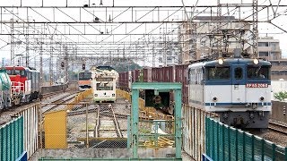 2019/05/29 【隅田川シャトル】 JR貨物 75レ EF65-2060 西浦和駅 | JR Freight: Cargo by EF65-2060 at Nishi-Urawa