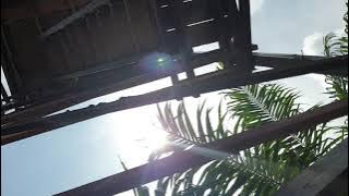 stop bakar hutan dan lahan. save hutan kalimantan