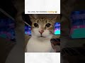 #cat #funny #meme #sadcat #lol #crying #nahbro #cute #emotionaldamage #fyp #viral #catmemes
