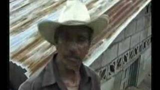 World Disaster Report 2006