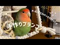 【インコのおもちゃ】オーガニックマクラメコットンとウッドリングのブランコ