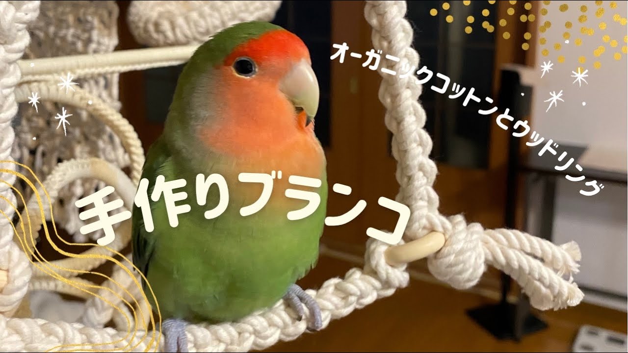 インコのおもちゃ】オーガニックマクラメコットンとウッドリングの