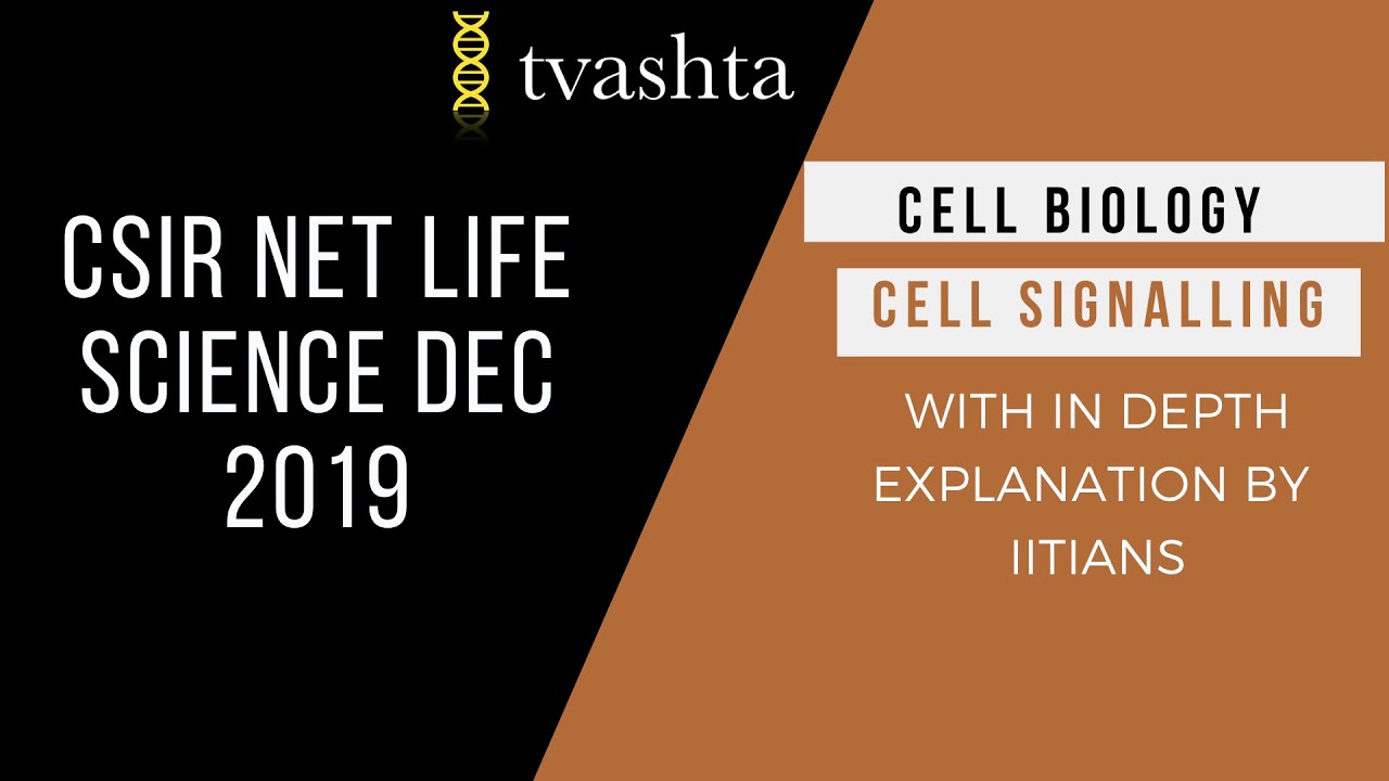 CSIR NET Life Science Dec 2019 Question Explained | Cell Biology | Cell ...