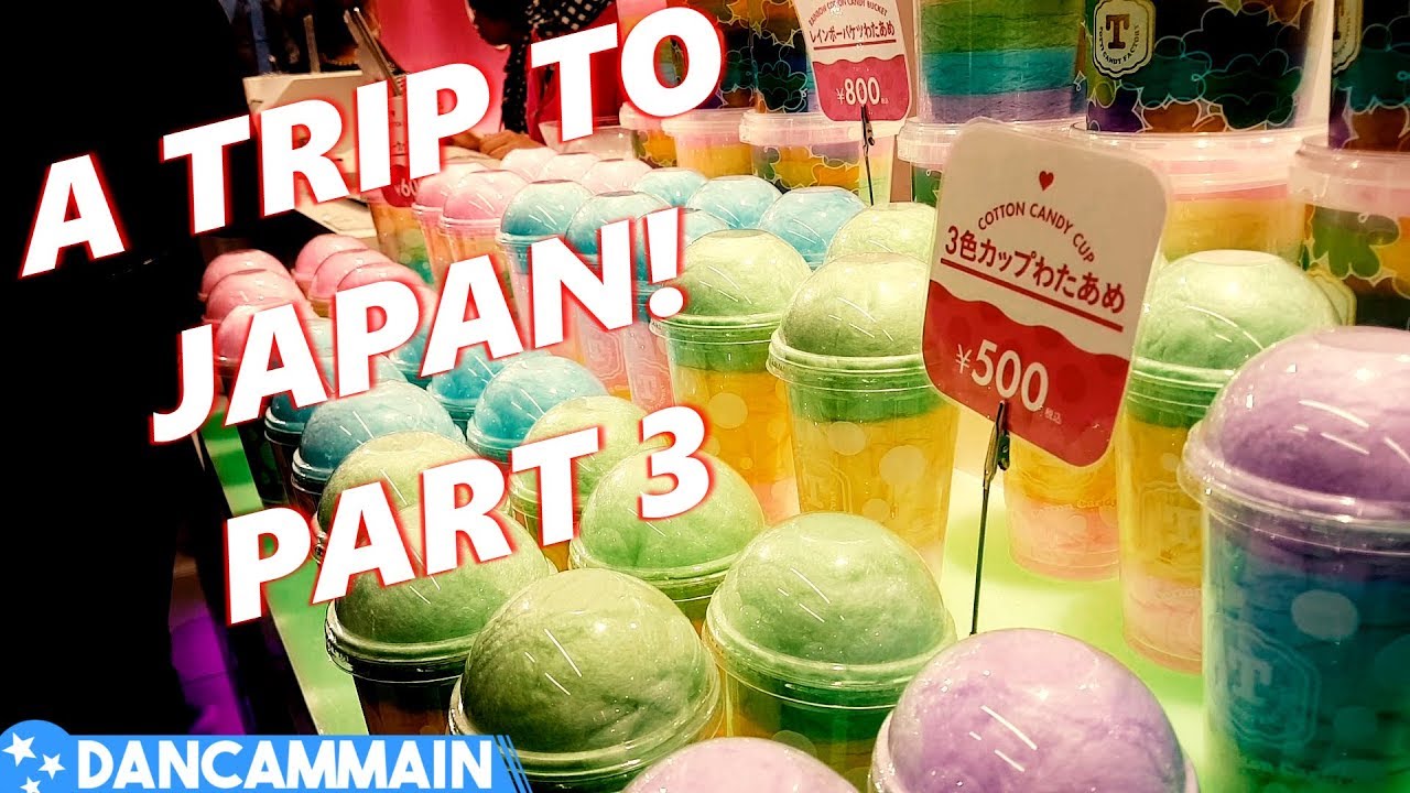 "A Trip To Japan" Part 3 | DCM Vlog