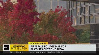Fall foliage forecast: When the colors will start popping throughout Western Pennsylvania