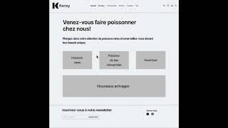 Ironhack UX Design Bootcamp: Project II "Kensy Aquarium Website"   Mid-Fi Protype