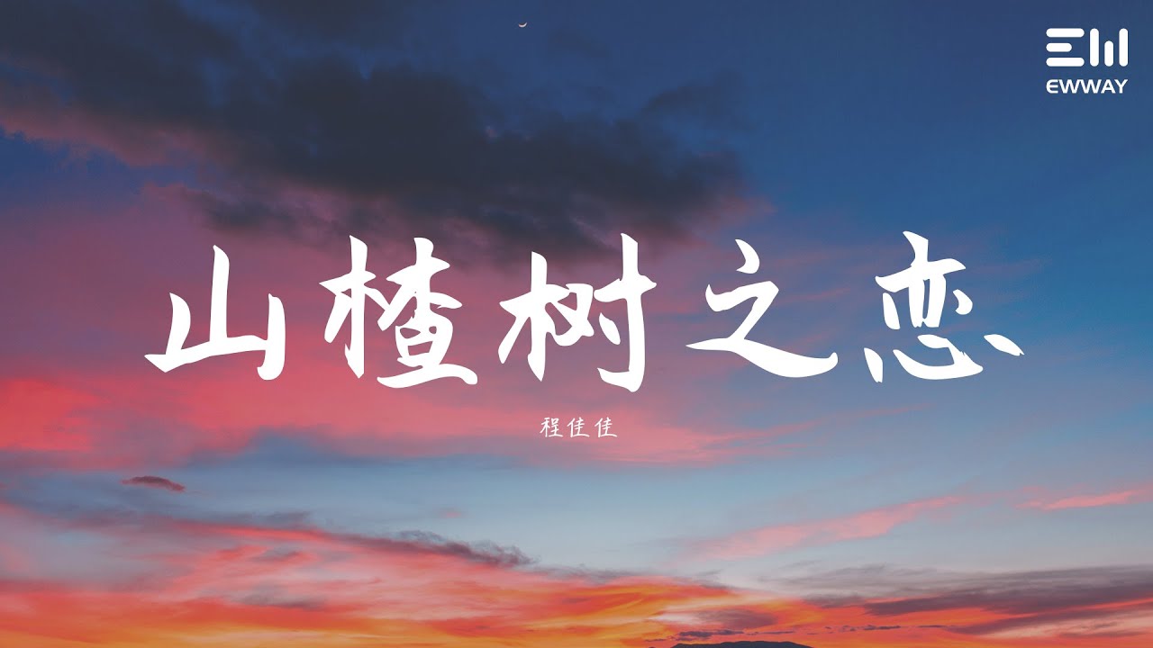 抖音热歌歌词 山楂树の恋 程jiajia 程佳佳 爱绿豆