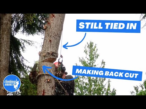 Tree worker makes huge mistake cutting a log he is attached to