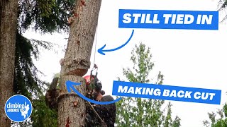 Tree worker makes huge mistake cutting a log he is attached to  CLIMBING ARBORIST BREAKDOWN