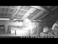Ref:2RQ2scisf9I 5 avril 2021, 7 h 41 : une genette longe le crottier avant de grimper sur la charpente...