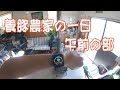 豚やさんのお仕事　午前の部