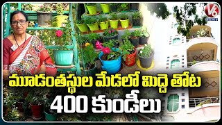 Terrace Gardening By Dhana Lakshmi | Gachibowli, Hyderabad | V6 News