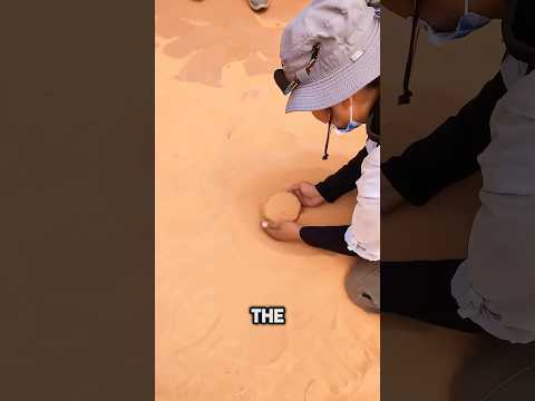 كيف تشكل جراند كانيون