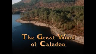 The Great Wood of Caledon (1989) by ThisOldVideo2 1,059 views 10 months ago 54 minutes