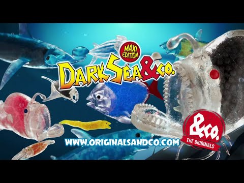 Pub Dark Sea & Co. | Unicorn Dolls février 2020