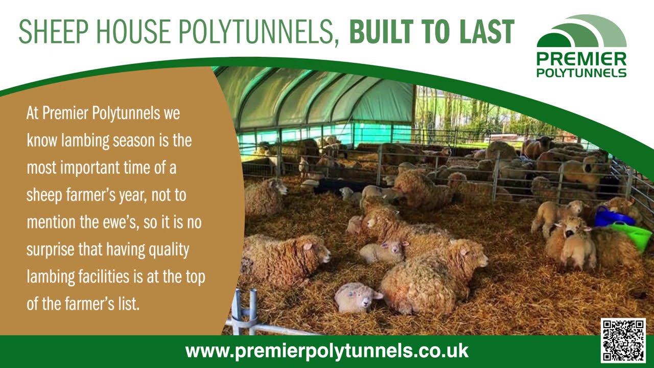 Sheep House Polytunnels | Lambing Shelters | Sheep Housing from Premier Polytunnels