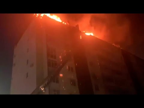 Сотрудники МЧС спасли из горящего дома животных в Анапе
