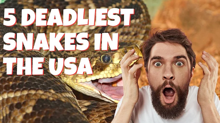 5 Deadliest Snakes in the US