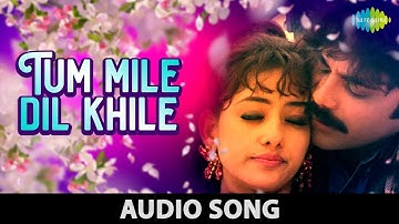 Tu Mile Dil Khile With Lyrics | Criminal | Kumar Sanu | Alka Yagnik | Nagarjuna | Manisha Koirala