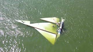 Island Bird Tipping 2022 8 27