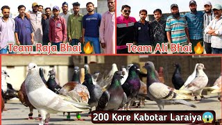 🔥Raja vs Ali kabootar Muqabla💪 || 200 Kore Kabootar ki Laraiya In Malir || New New Kabootar Laraiya