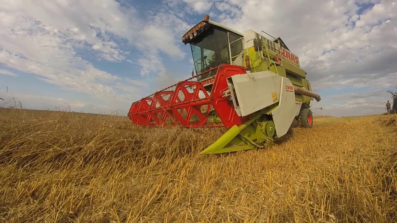 Żniwa (harvest) 2016 Claas 204,Fendt 714,Zetor 6245