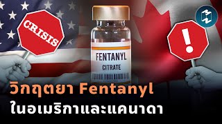 วิกฤตยา Fentanyl ในอเมริกาและแคนาดา | Mission To The Moon EP.1812