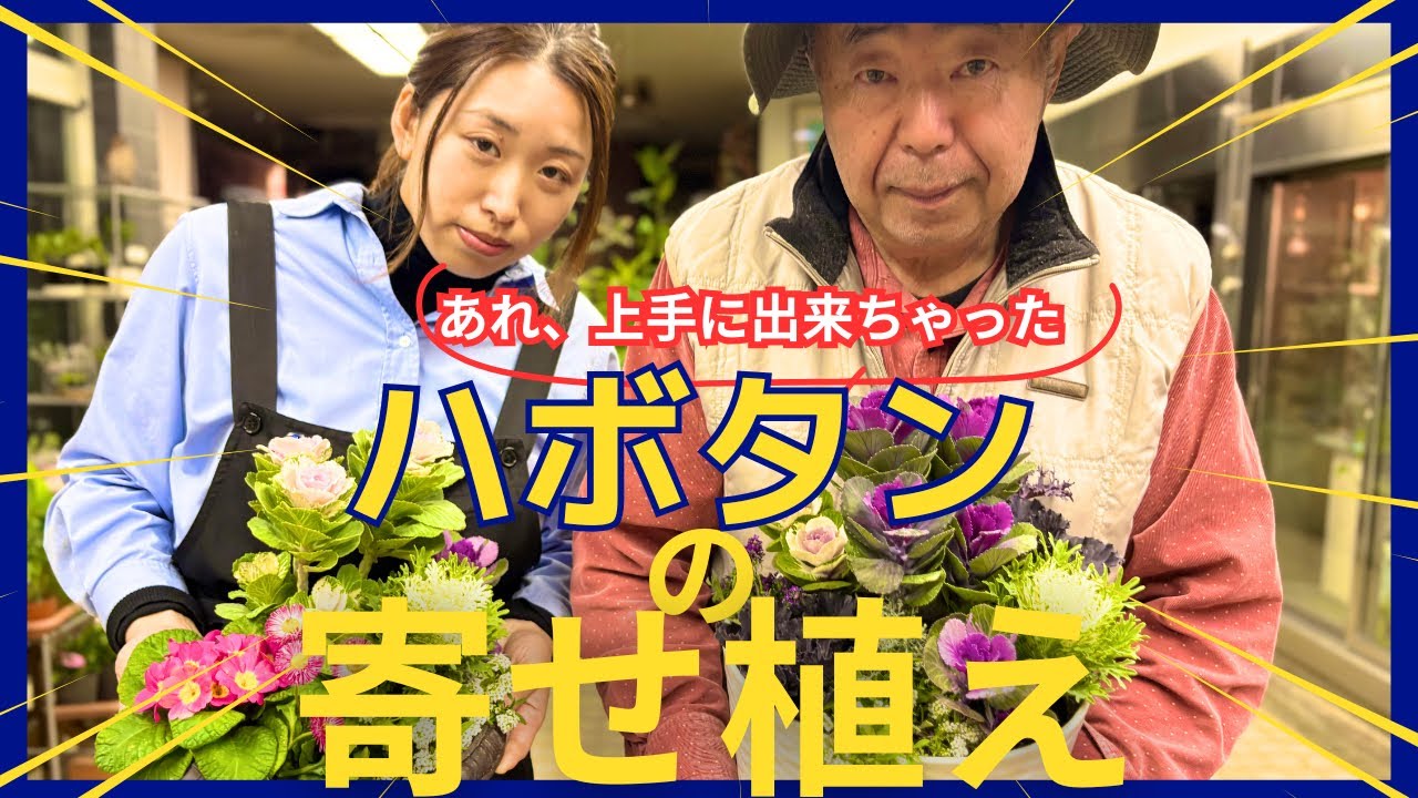 ハボタンは初心者最強！誰でも“華やか寄せ植え”が作れちゃうコツ