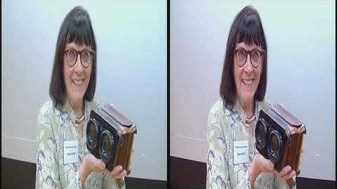 The Stereoscopic Society