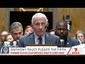 Anthony Fauci pleads the fifth at Senate hearing | 7NEWS