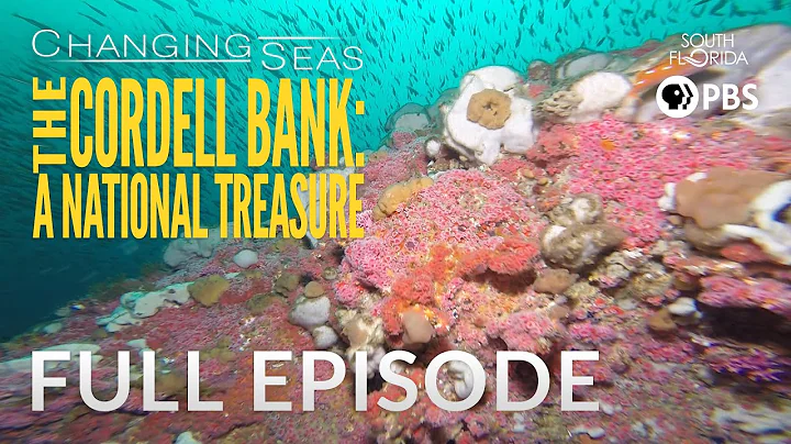 The Cordell Bank: A National Treasure - Full Episode