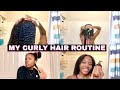 My Curly Hair Routine 3c/4a