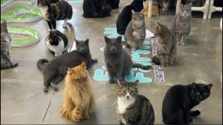 The waiting game… 🍪❄️