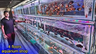 Biggest Aquarium shop in Tamilnadu | Rhoma Aquarium | தமிழ்