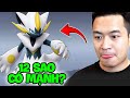 Pocket Mega | Zeraora 12 Sao Có Xứng Đáng?