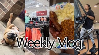 Benji Is Gone , Family Bbq, Running Errands, Getting Back On Track After A Loss, Ditl, Vlog