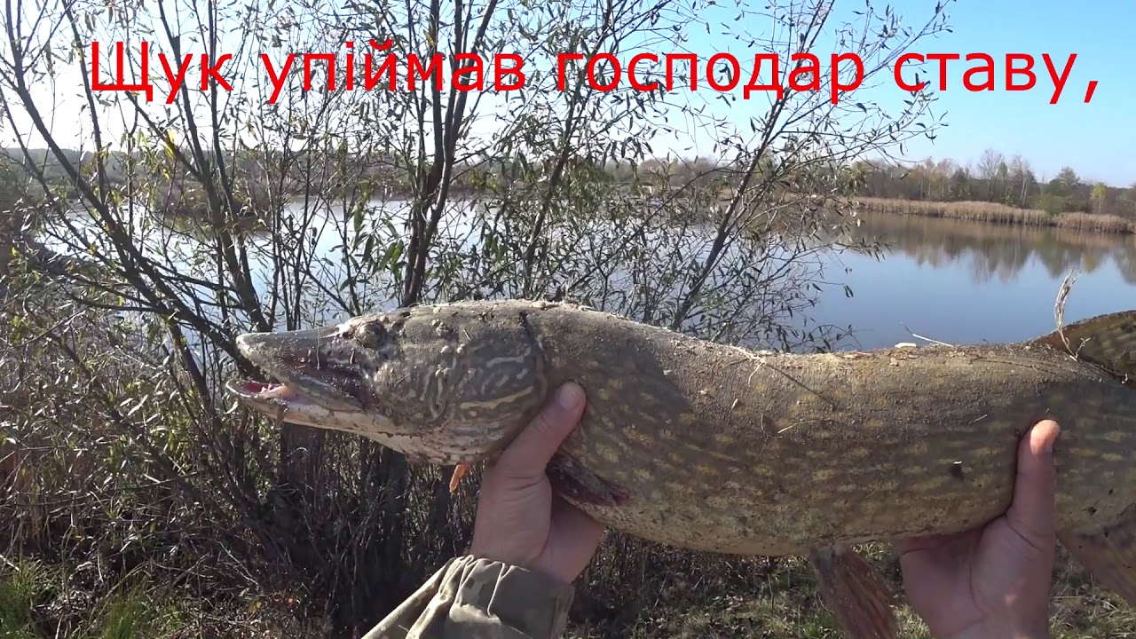 Боковий кивок дає результат