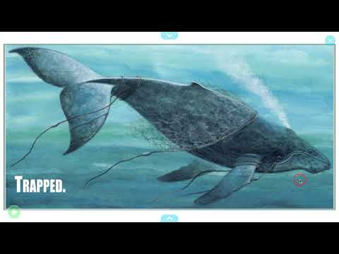 Trapped, A Whale Rescue