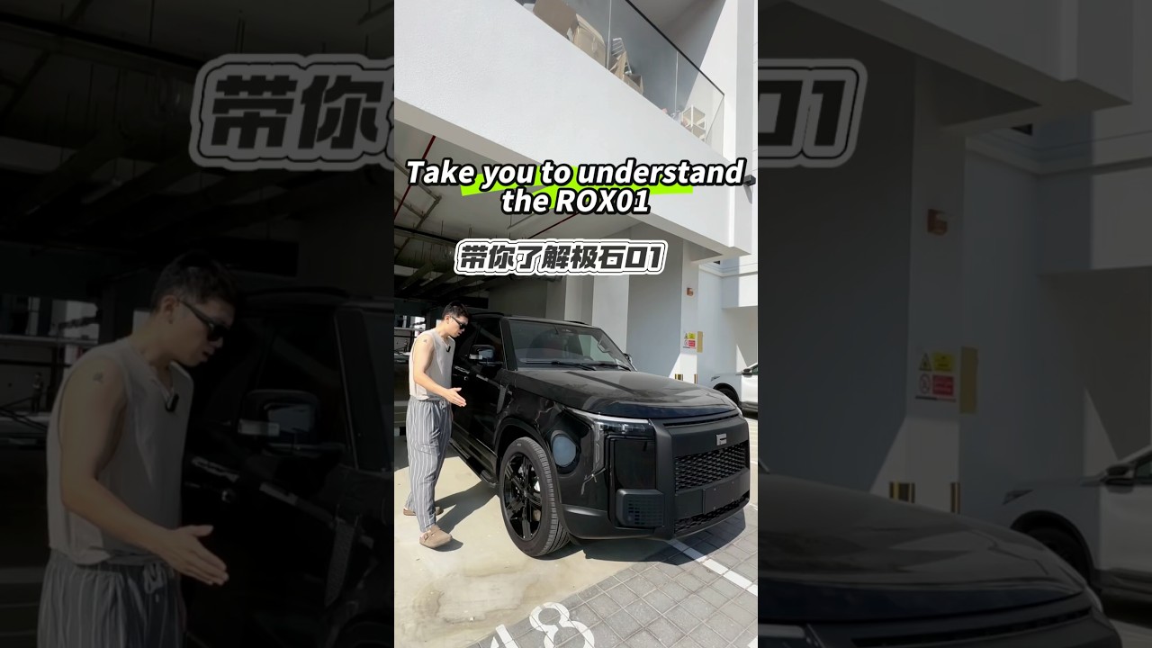 Поможем вам понять ROX 01 