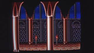 Prince of Persia - SNES - Gate Thief #1 - Level 6 - 0:45 - 315 - 2738