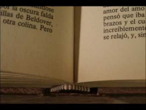 (Libro)