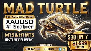 Mad Turtle EA MT5 Free Download | Best Gold Trading Robot 2026 (XAUUSD M15/H1) screenshot 5