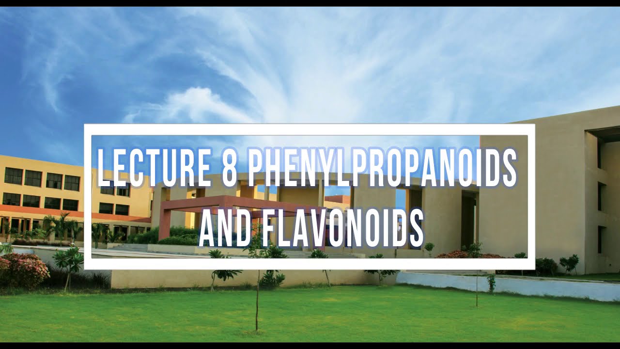 Lecture 8 Phenylpropanoids And Flavonoids || By Nidhi Ghetiya