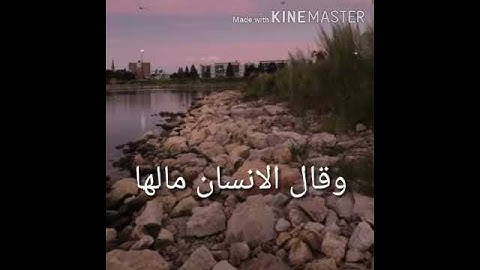 سوره الزلزلة بصوت ماهر المعيقلي