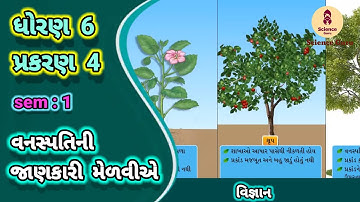Vanaspatini janakari melavie || std 6 science ch 4||વનસ્પતિની જાણકારી મેળવીએ||ધોરણ 6 વિજ્ઞાન પાઠ 4||