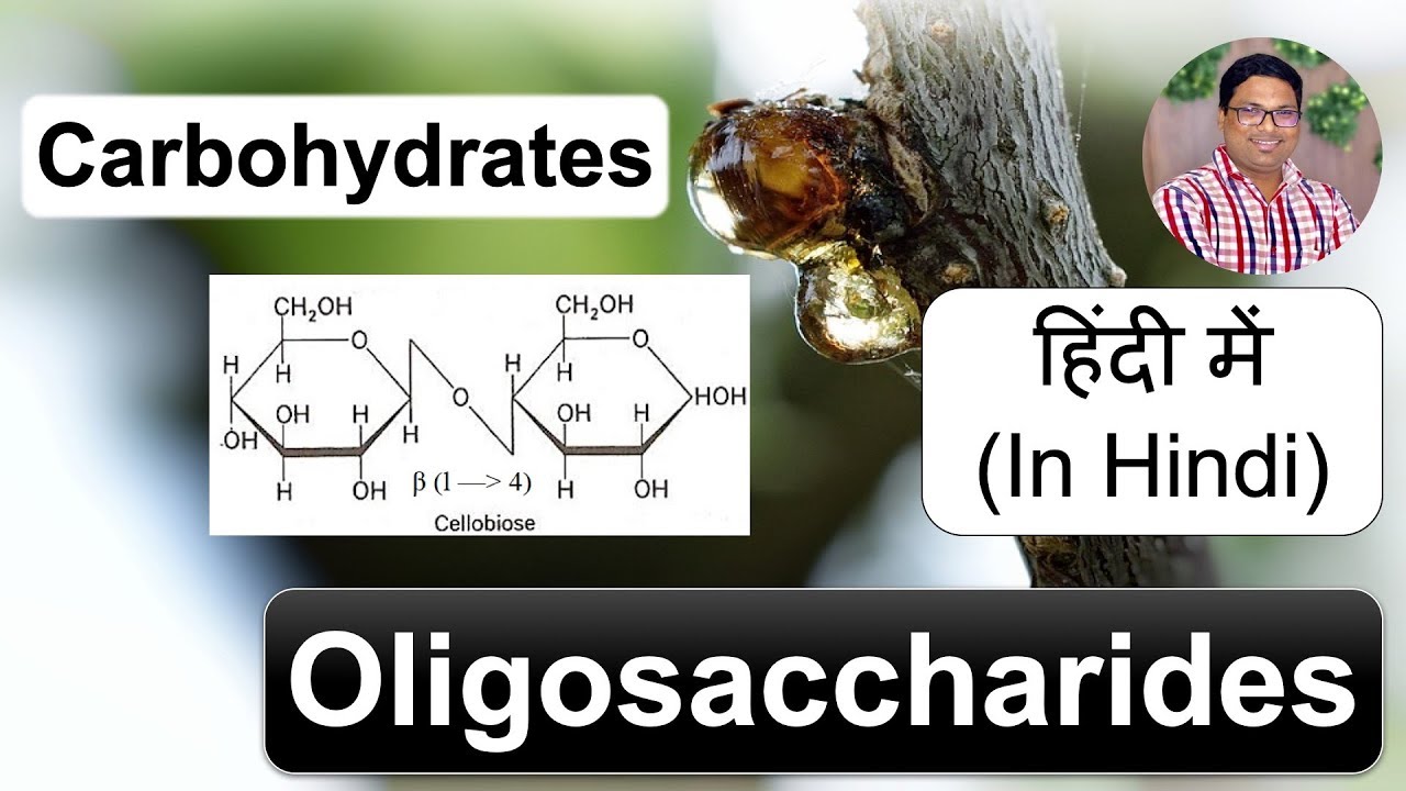 कार्बोहायड्रेट ओलिगोसैकेराइड Biomolecules Carbohydrates