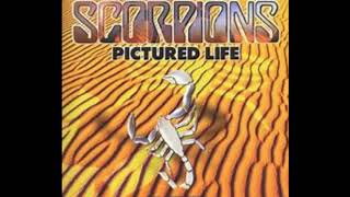 Scorpionspictured Life