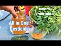 How to make organic Neem pesticide at home || Best natural pesticide from neem leaves and turmeric