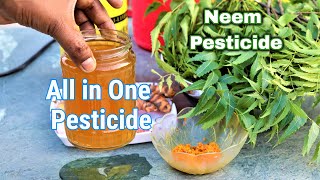 How to make organic Neem pesticide at home || Best natural pesticide from neem leaves and turmeric