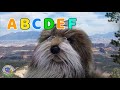 THE SINGING DOG! - TROVADOG'S ABC JAZZ SONG | PRACTICE THE ABC's FOR KIDS |  by Little Book Farmers